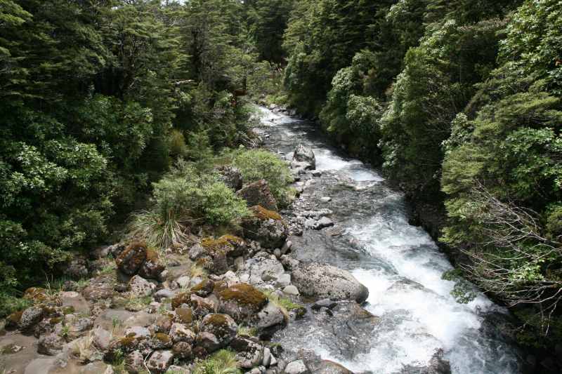 Nieuw-Zeeland 2011 - 0820